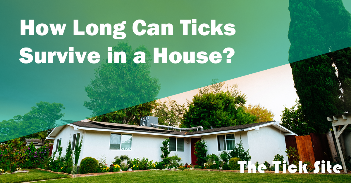 How Long Can Ticks Survive in a House? The Tick Site